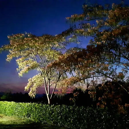 Hotel Antico Borgo Poggitazzi Terranuova Bracciolini